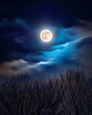 THE COLD MOON